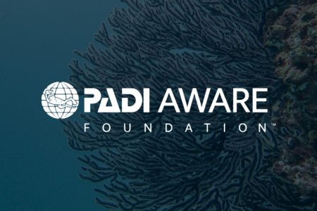 Marine conservation PADI Aware Foundation