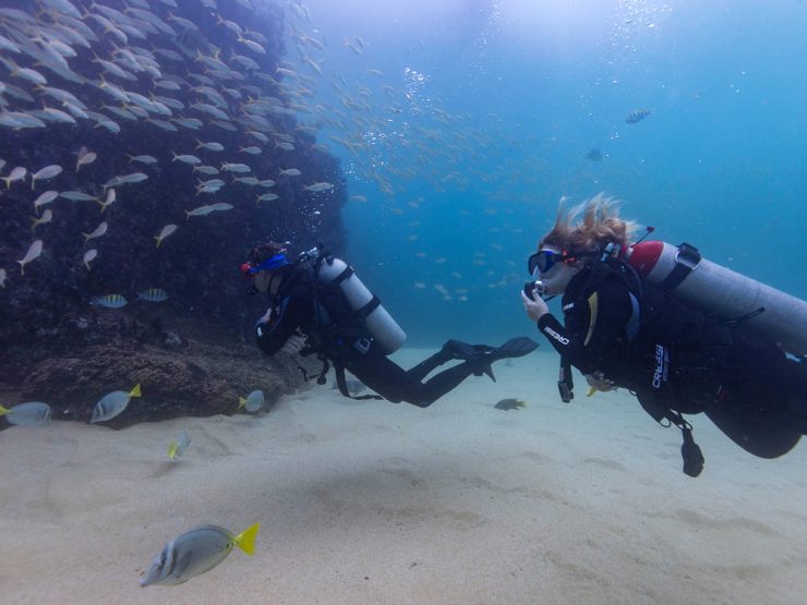 cabo san lucas kid discover scuba diving