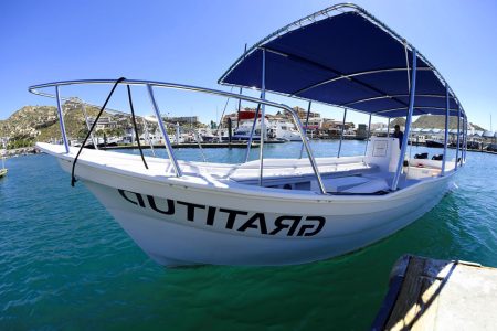 cabo san lucas private dive boat