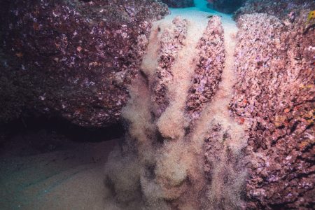 copy of sandfall copy of sandfall