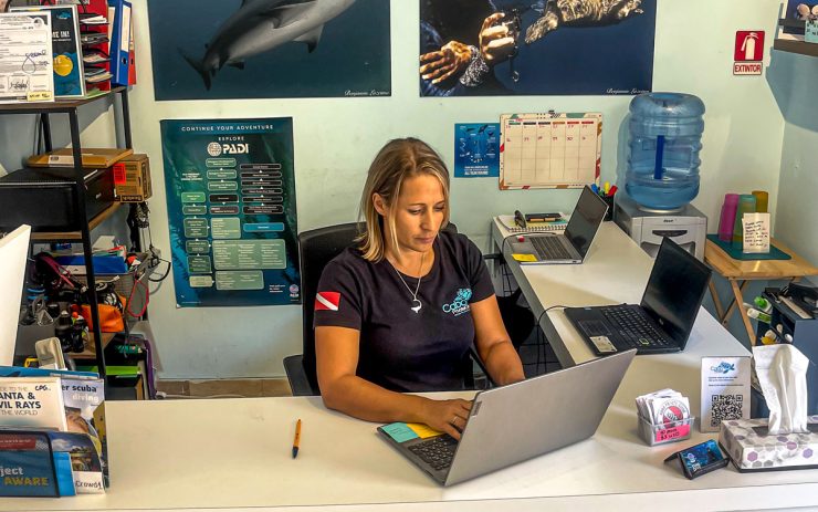 divemaster duty job cabo private guide