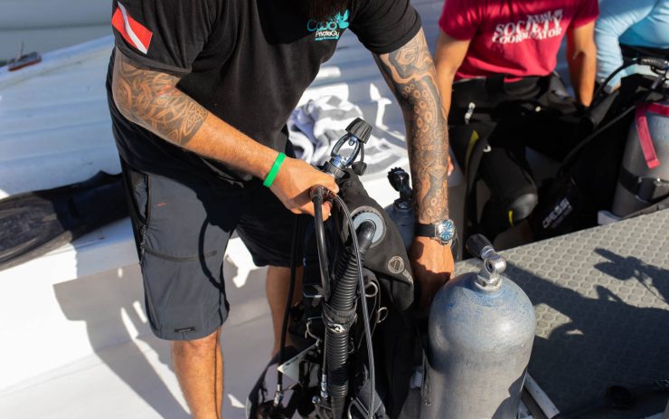 divemaster exchange in cabo san lucas