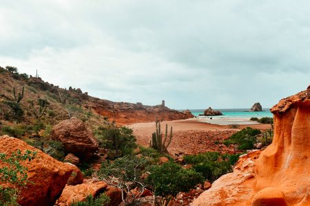 Espiritu Santo island trip