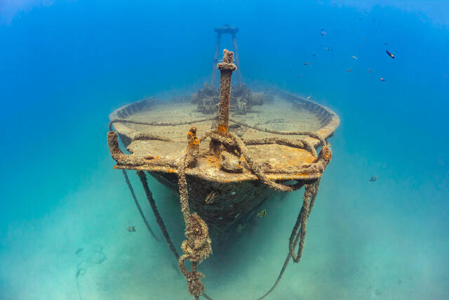 La Paz shipwreck Dive the Fang Ming Wreck Cabo Private Guide