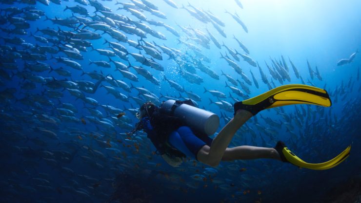 kid scuba diving underwater