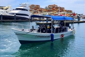 panga dive boat cabo san lucas
