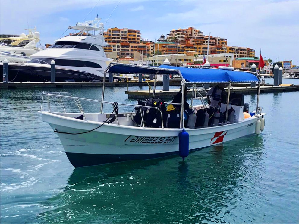 panga dive boat cabo san lucas