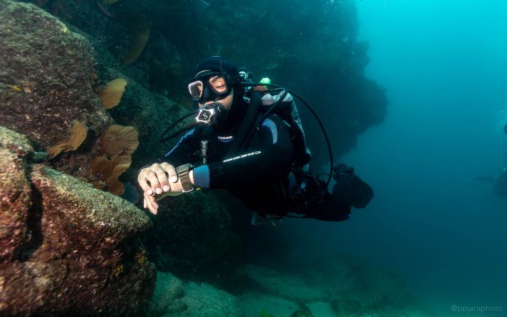 scuba diver in cabo san lucas