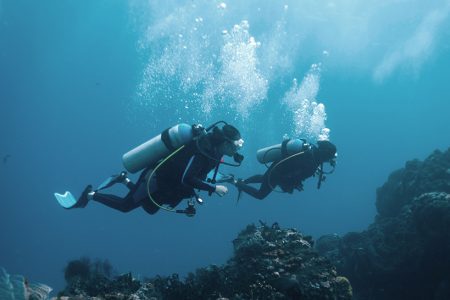 Ecotourism & Sustainable Diving: 7 easy steps to become an eco-friendly diver