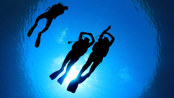 scuba diver view from below underwater