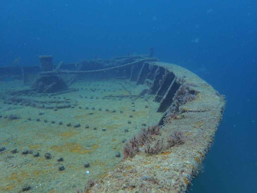 scuba diving fang ming shipwreck la paz mexico