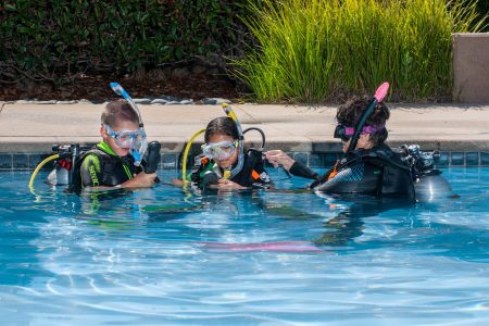 sealteam2
