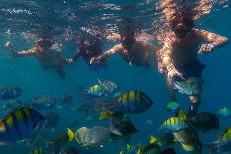 Snorkeling tours in Cabo San lucas