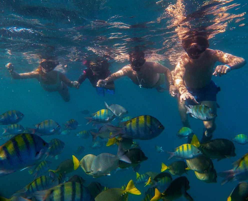 Cabo San Lucas snorkeling tours