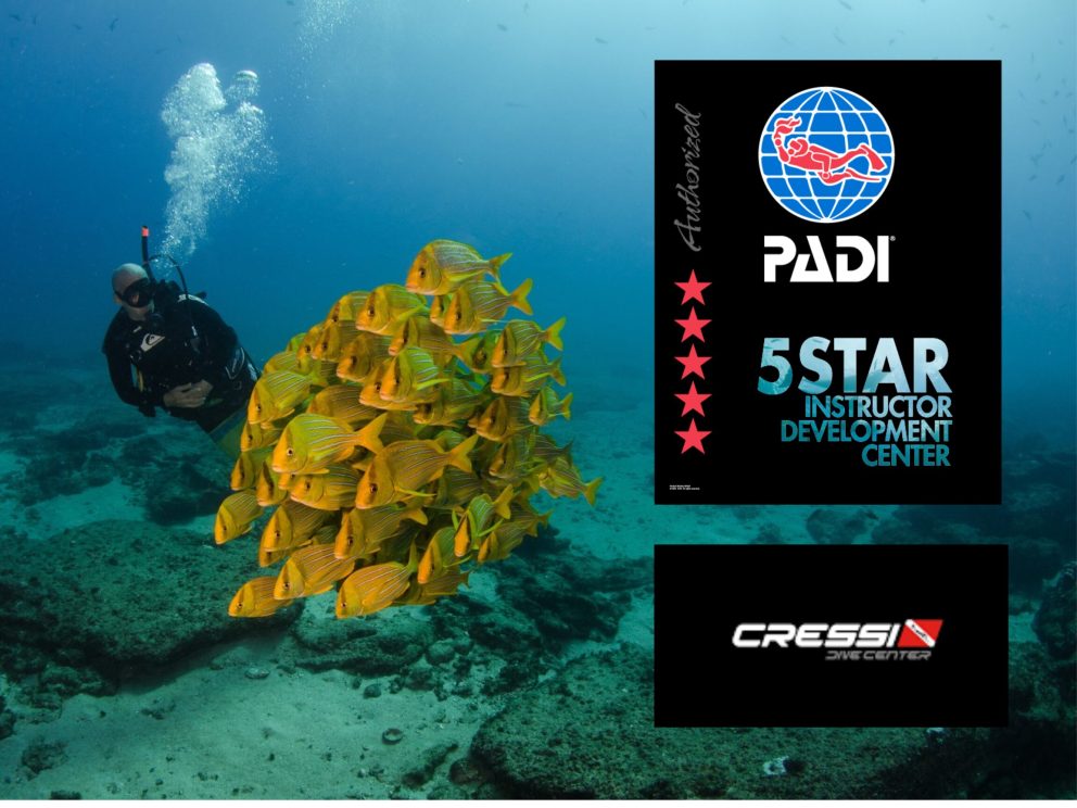 cabo-private-guide-idc-pro-dive-academy untitled design