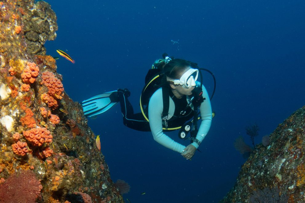 Women scuba diving in Cabo San Lucas